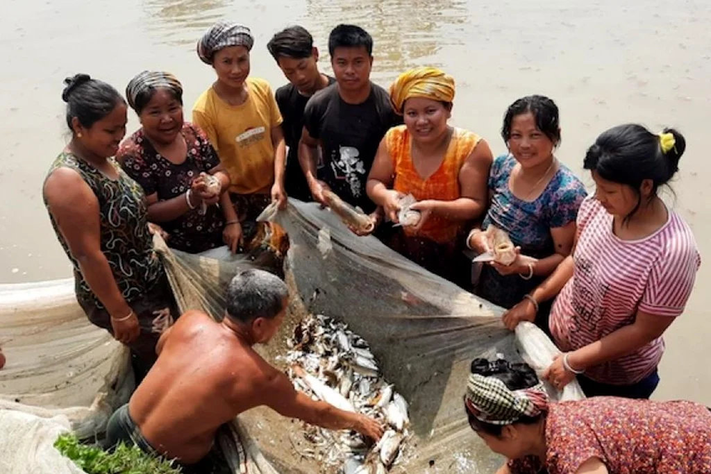 Empowering Women in Manipur’s Fisheries Sector: The Story of Sitha Leima Fish FPC